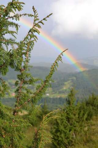 Дома для отпуска Eco House Butinar Космач Дом с 2 спальнями-31