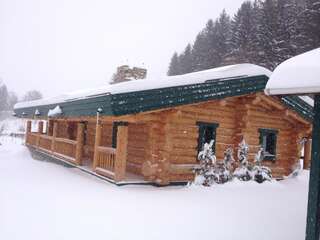 Дома для отпуска Eco House Butinar Космач Дом с 2 спальнями-35