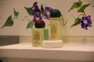 Дома для отпуска Eco House Butinar Космач Дом с 2 спальнями-75